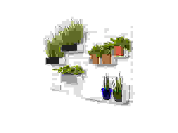 Atelier Belge Interior landscaping
