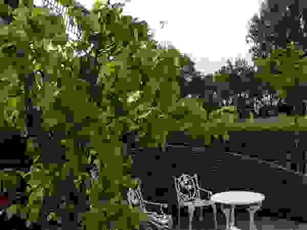 Ontwerpstudio Angela's Tuinen Modern garden