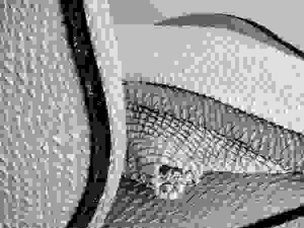 Élitis HouseholdTextiles