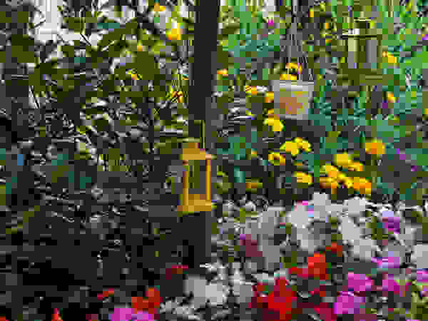 Verde Progetto - Adriana Pedrotti Garden Designer