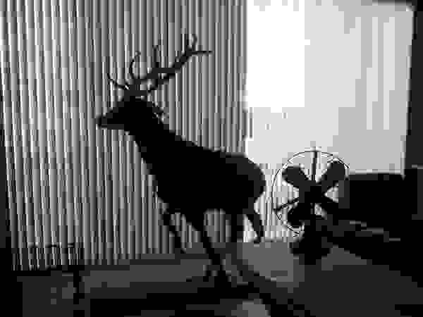 Ado Concept ArtworkSculptures