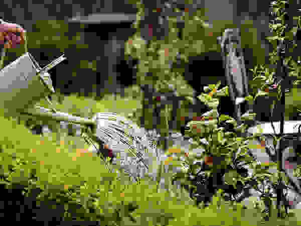 Green Point Garden Design