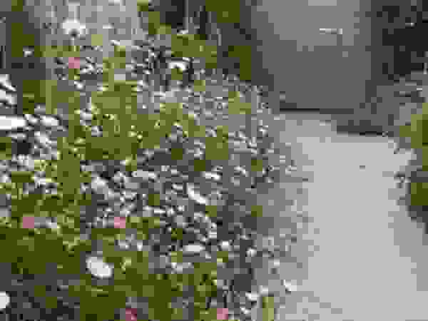 Green Point Garden Design