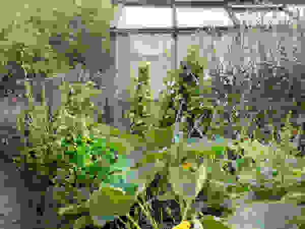 Anna Paghera s.r.l. - Green Design Mediterranean style garden