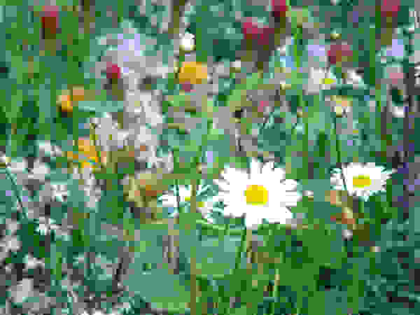 Anna Paghera s.r.l. - Green Design Mediterranean style garden
