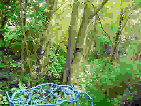 Anna Paghera s.r.l. - Green Design Mediterranean style garden