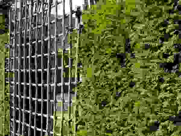 Anna Paghera s.r.l. - Green Design Mediterranean style garden