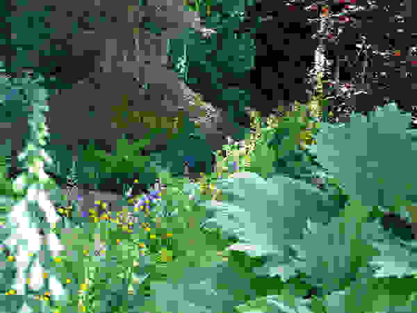 Anna Paghera s.r.l. - Green Design Garden Plants & flowers