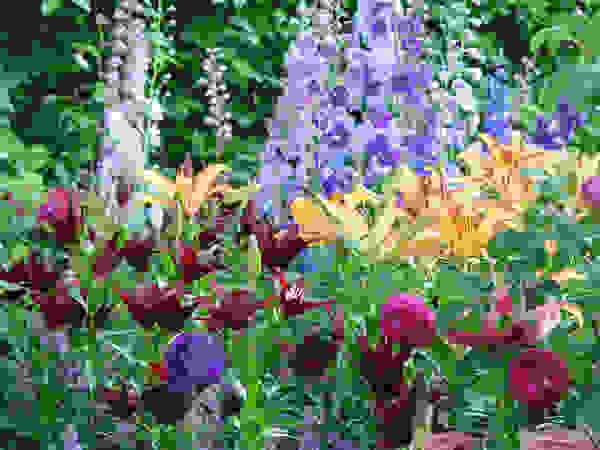Anna Paghera s.r.l. - Green Design Garden Plants & flowers