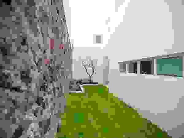 JF ARQUITECTOS Minimalist style garden
