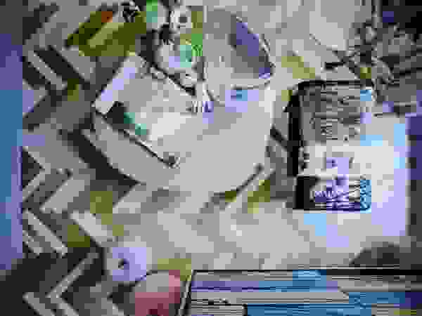 9 Living room