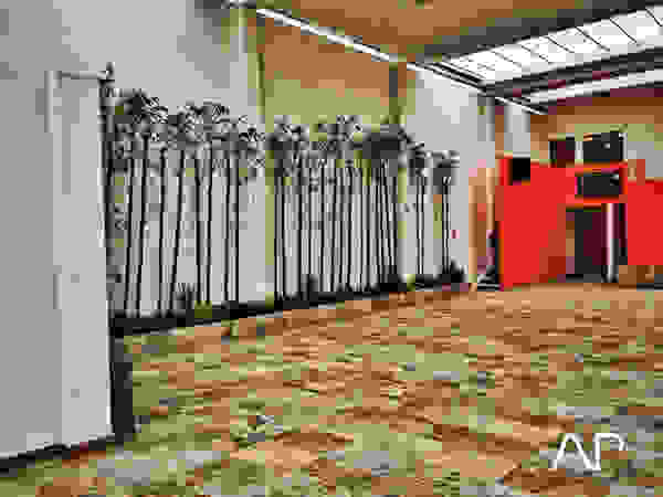 AP studioarq