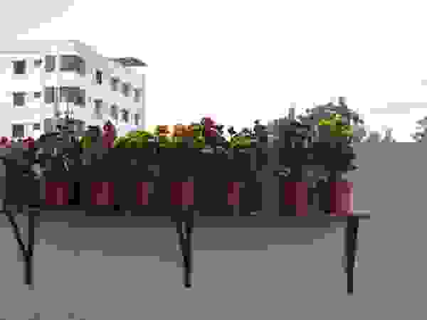 DESIGNER GALAXY Modern Garden