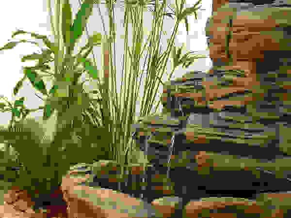Zen Ambient