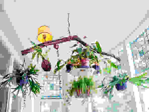 studio Noun Eclectic style gastronomy
