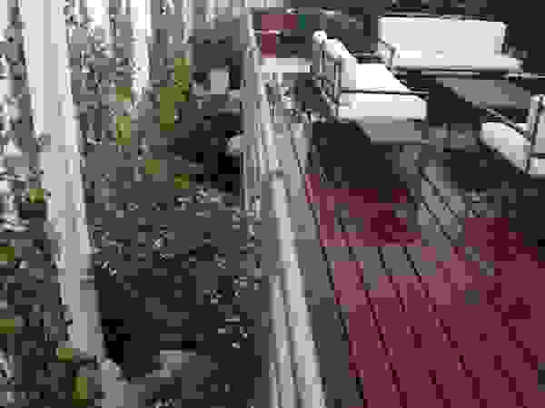 Estudio Marta Byrne Paisajismo Modern Terrace