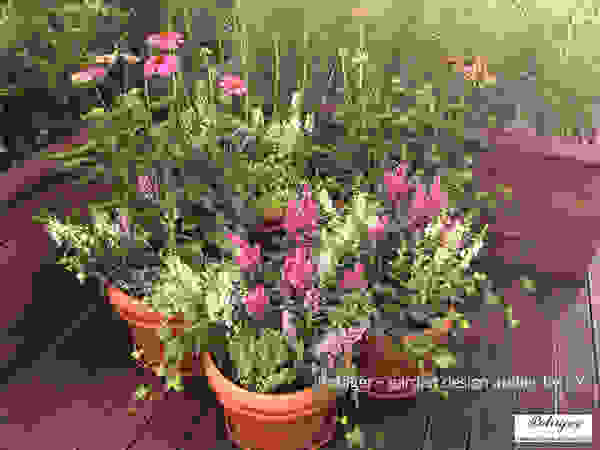 Potager Klassieke balkons, veranda's en terrassen Paars / Violet