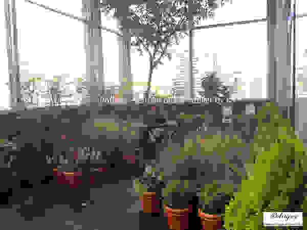 Potager Klassieke balkons, veranda's en terrassen Groen