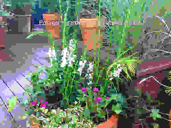 Potager Klassieke balkons, veranda's en terrassen Wit