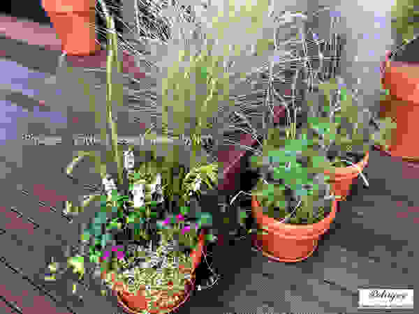Potager Klassieke balkons, veranda's en terrassen Wit