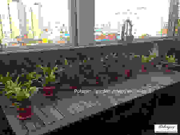 Potager Klassieke balkons, veranda's en terrassen Groen