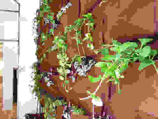 Aida Lopez Paisajista Interior landscaping