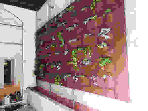 Aida Lopez Paisajista Modern Houses