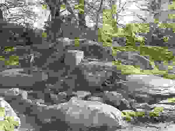 Kokeniwa Japanische Gartengestaltung Asian style garden