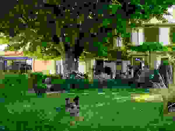 CONCEPTUELLES PAYSAGE ET DECORATION Mediterranean style garden