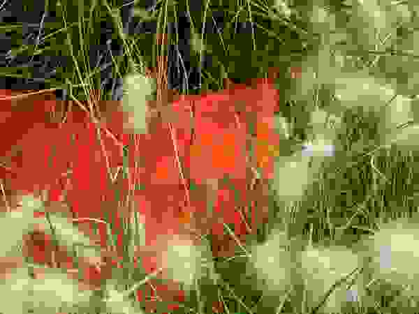CONCEPTUELLES PAYSAGE ET DECORATION Modern Garden