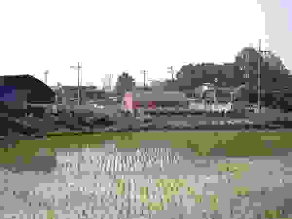 구름집 02-338-6835