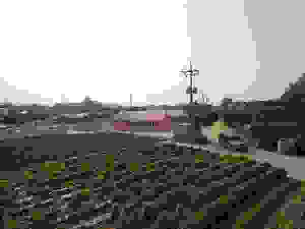 구름집 02-338-6835
