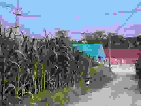 구름집 02-338-6835
