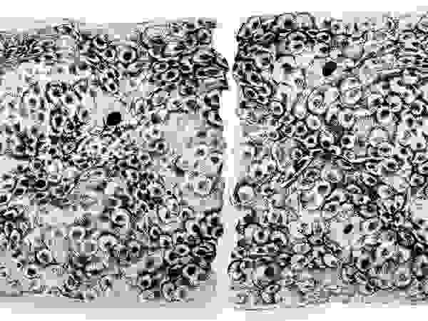 Ana Maria Nava Glass ArtworkSculptures Glass Black