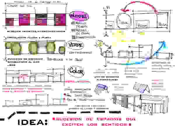 Estudio ZP