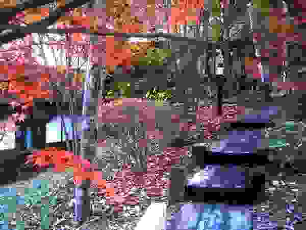 施行事例 自然景観設計舎.LTD Modern Garden