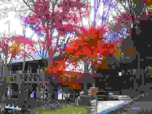 施行事例 自然景観設計舎.LTD Modern Garden
