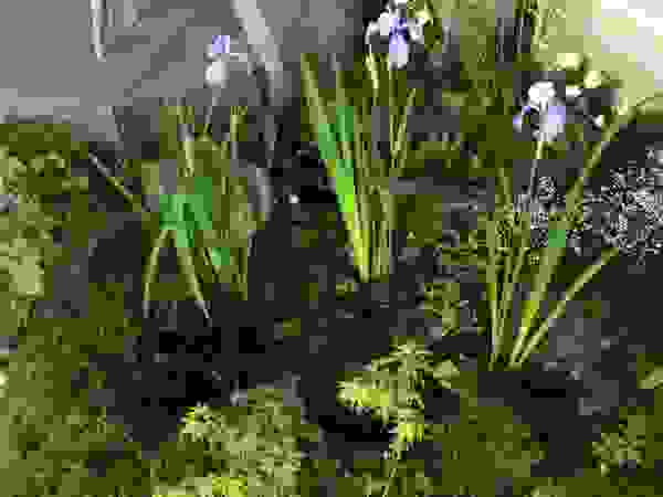 株式会社 髙橋造園土木 Takahashi Landscape Construction.Co.,Ltd Modern garden Wood