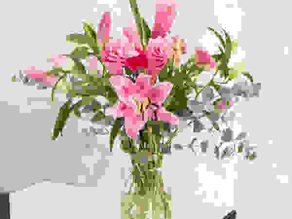 Bloomy Days GmbH Living roomAccessories & decoration