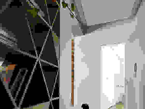 Girl and the cat BLACKHAUS Modern Corridor, Hallway and Staircase Wood Grey