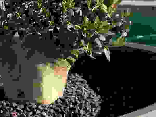 CONCEPTUELLES PAYSAGE ET DECORATION Modern Garden