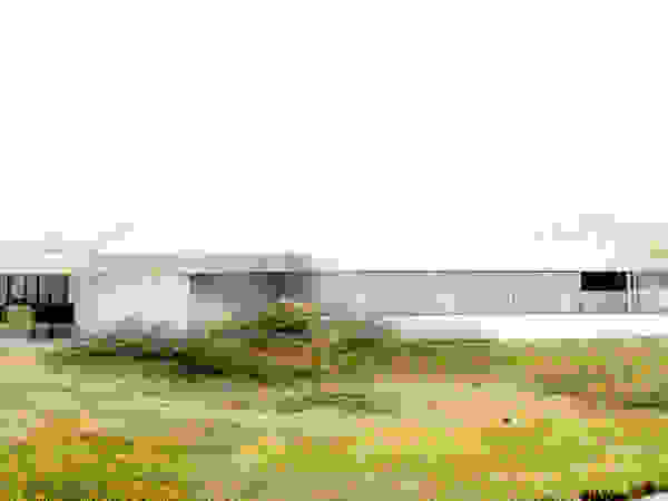 ZEBRA LAB ARQUITECTURA Modern garden