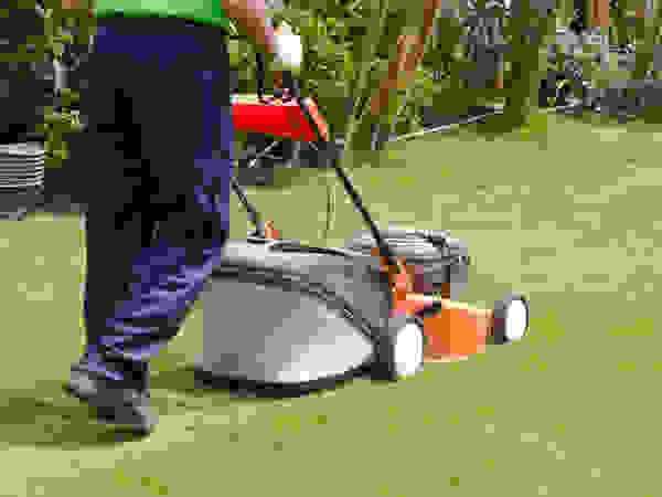 Lawn Care & Maintenance Handyman Pretoria