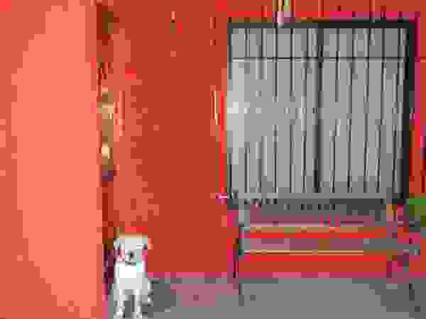 Feng Shui y Arquitectura Asiatische Häuser Stahlbeton Rot