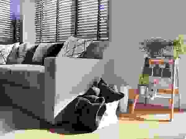 Architekt wnętrz Klaudia Pniak Modern living room