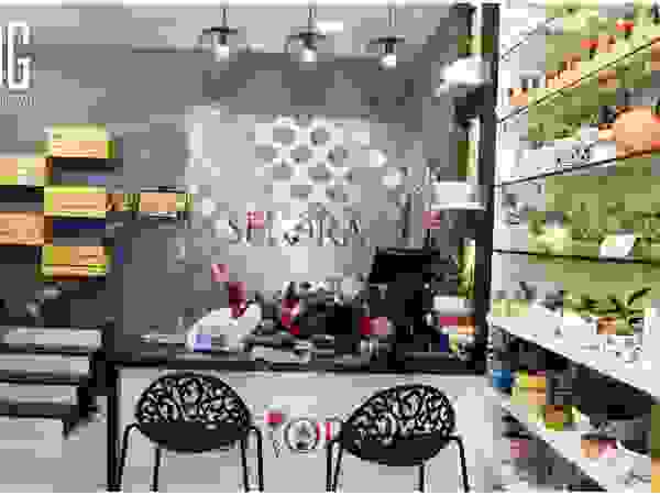DESIGNER GALAXY Offices & stores