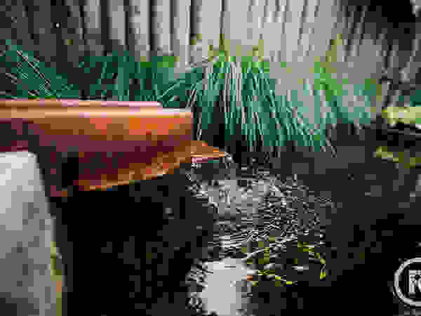 De Rooy Hoveniers Modern garden