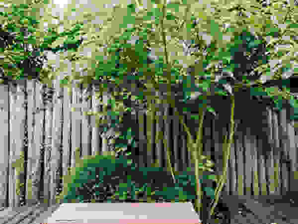 De Rooy Hoveniers Modern garden