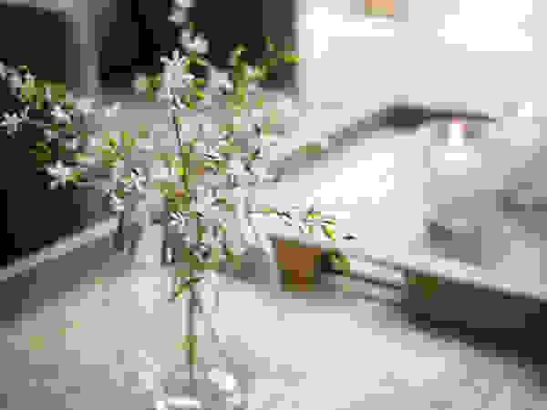 Home Staging Sylt GmbH ВітальняАксесуари та прикраси