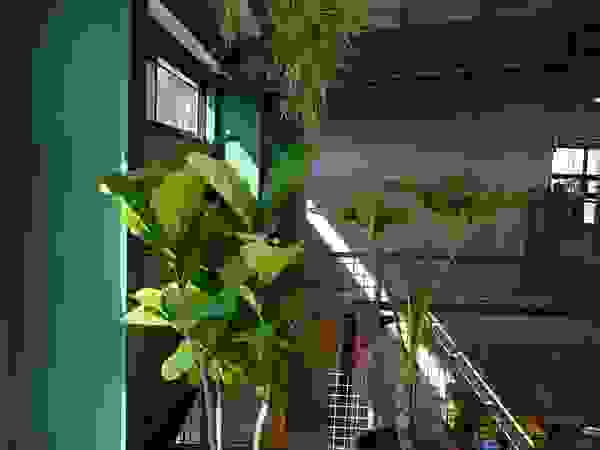 보테니크 Commercial Spaces